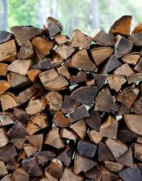 black widow spiders, firewood